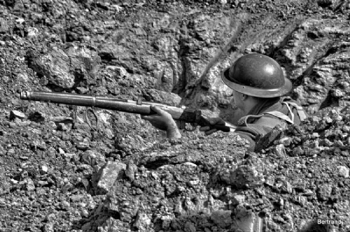 A.Passchendaele themaw. (14)